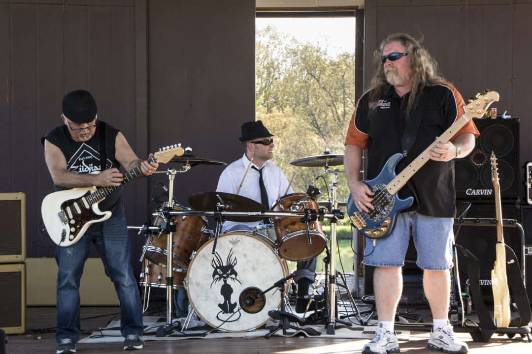 Cat Daddy’O That’s Right!